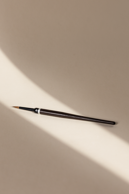 Picasso-Ceramic Brushes
